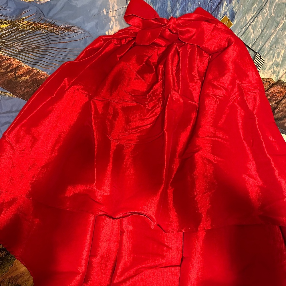 Festive! Holiday! Hi/Low Satin red skirt